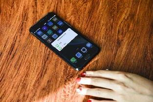 手机看片在线国产